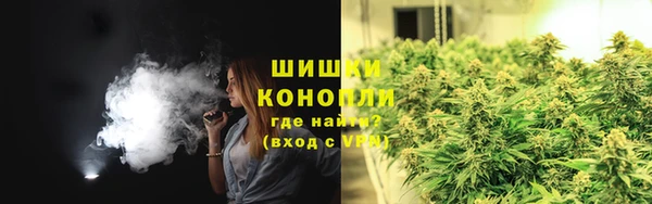 соль ск Дмитров