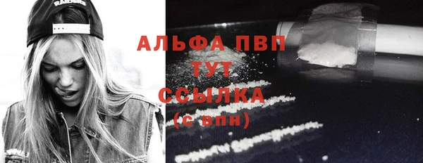 соль ск Дмитров