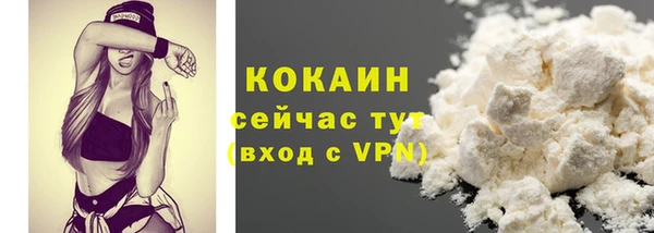 соль ск Дмитров