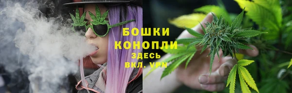 соль ск Дмитров