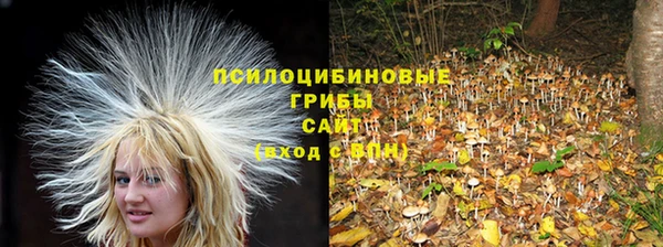 тгк Дмитровск