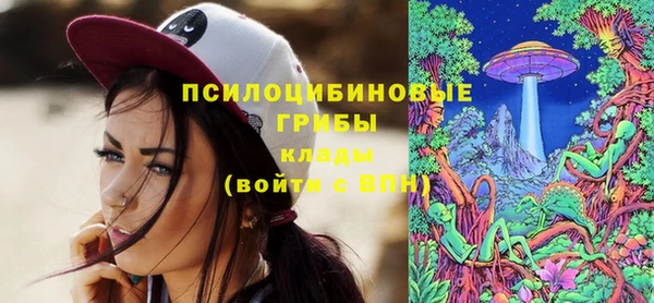 мескалин Дмитриев