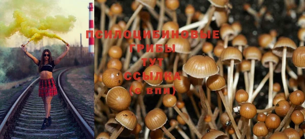 тгк Дмитровск