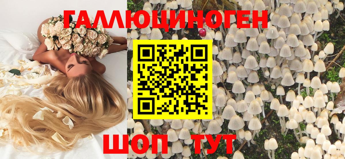 Псилоцибиновые грибы Magic Shrooms  Бийск  Псилоцибиновые грибы Magic Shrooms 