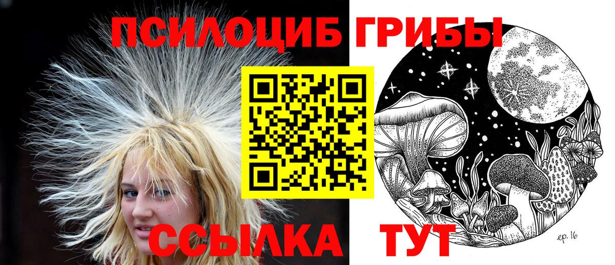 Псилоцибиновые грибы мухоморы Бийск